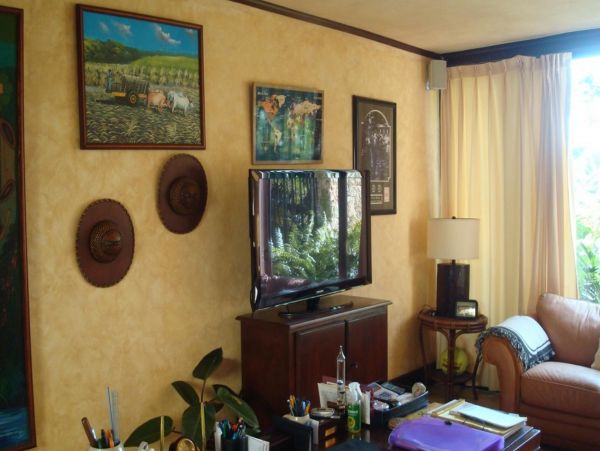 Dominican Republic Home 947906