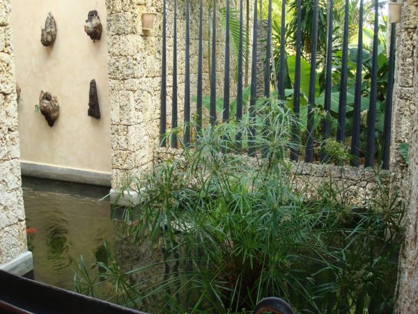 Dominican Republic Home 947906