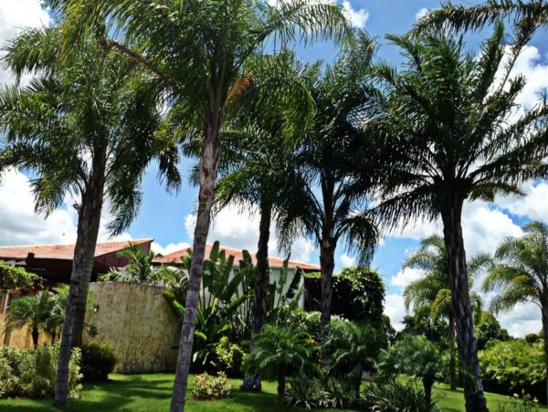 Dominican Republic Home 947911
