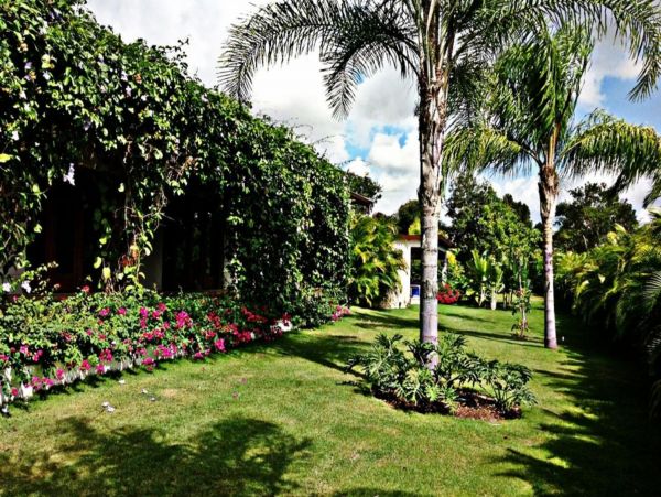Dominican Republic Home 947911