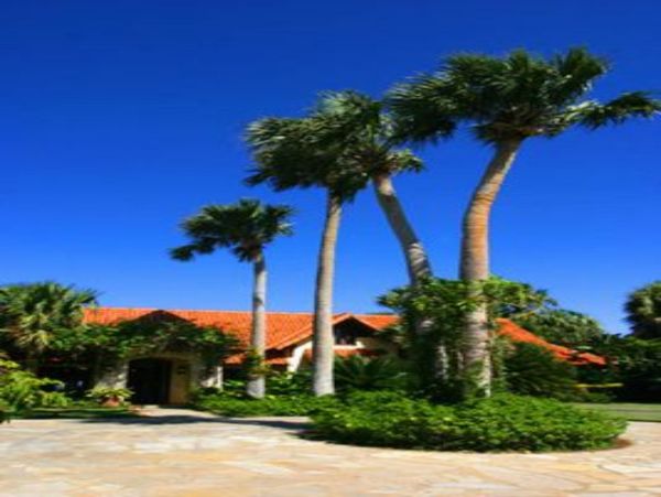 Dominican Republic Home 947915