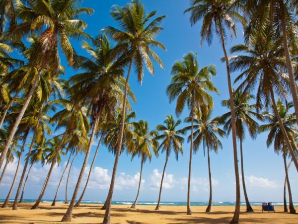 Dominican Republic Home 947953