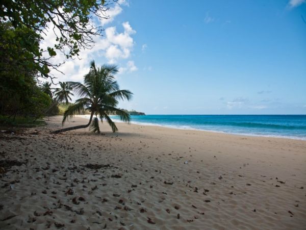 Dominican Republic Home 947953