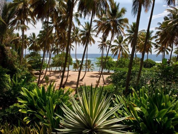 Dominican Republic Home 947955