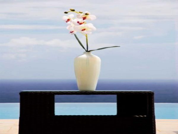 Jamaica Home 947965