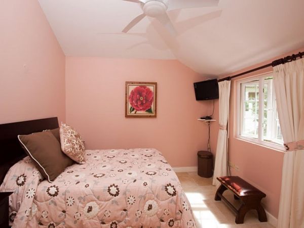 Jamaica Home 947974