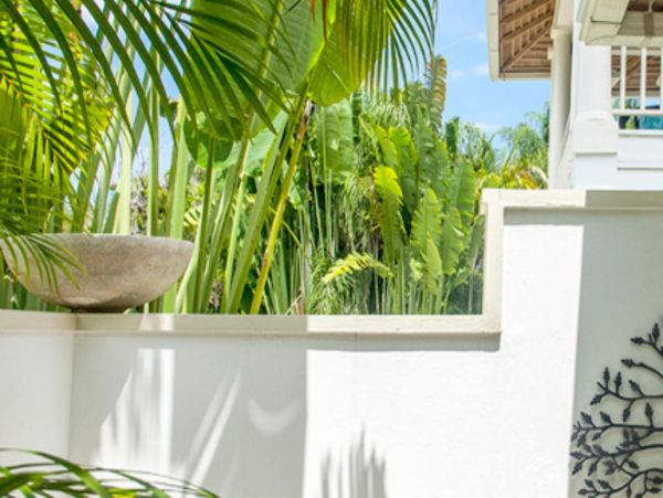 Jamaica Home 947984