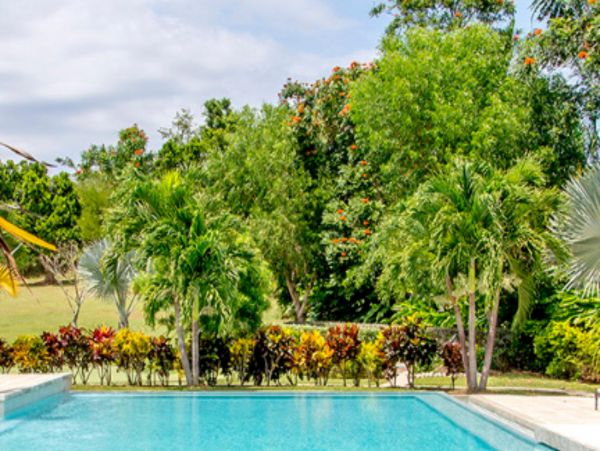 Jamaica Home 947984