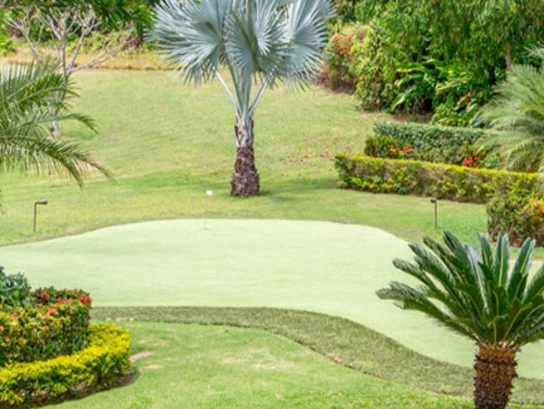 Jamaica Home 947984