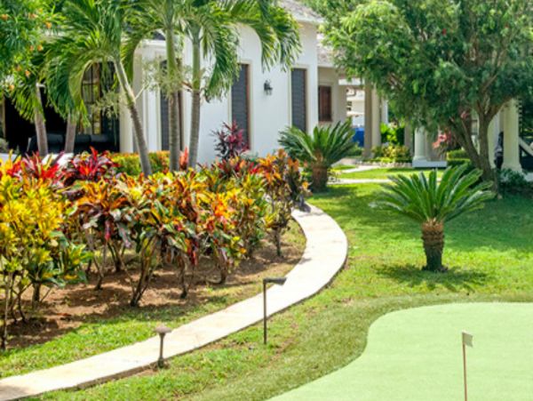 Jamaica Home 947984