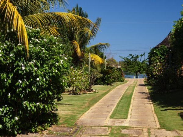 Jamaica Home 947987