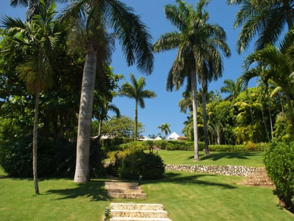 Jamaica Home 947995