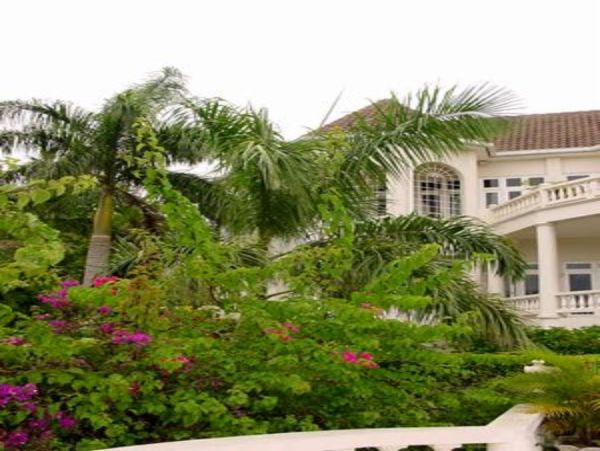 Jamaica Home 948010