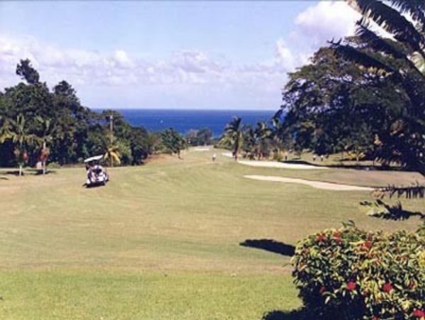 Jamaica Home 948017