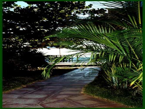 Jamaica Home 948019
