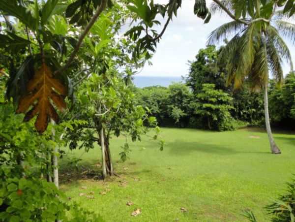 Jamaica Home 948021
