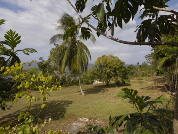 Jamaica Home 948021