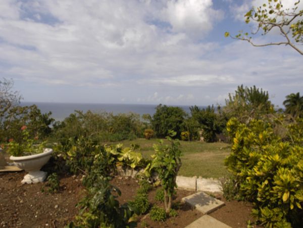 Jamaica Home 948021