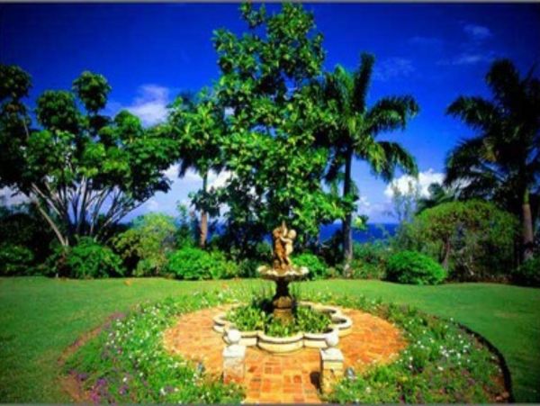 Jamaica Home 948025