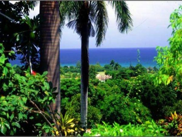Jamaica Home 948025
