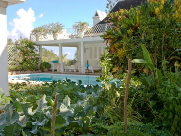 Jamaica Home 948035