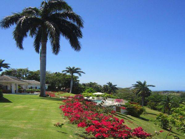 Jamaica Home 948036