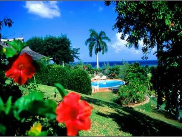 Jamaica Home 948041