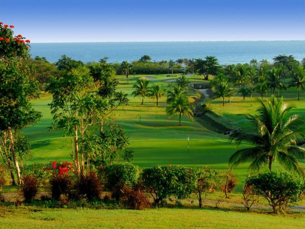 Jamaica Home 948043