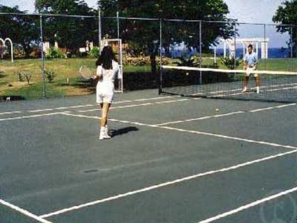 Jamaica Home 948045