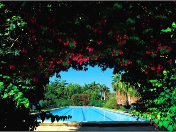 Jamaica Home 948048