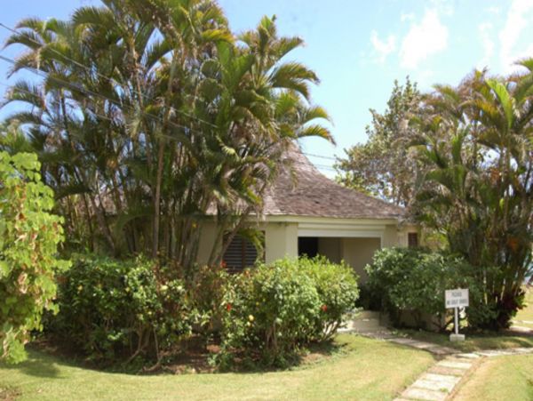 Jamaica Home 948051