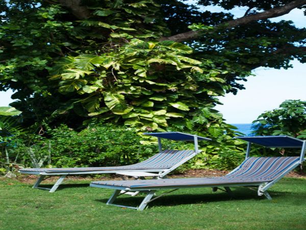 Jamaica Home 948060