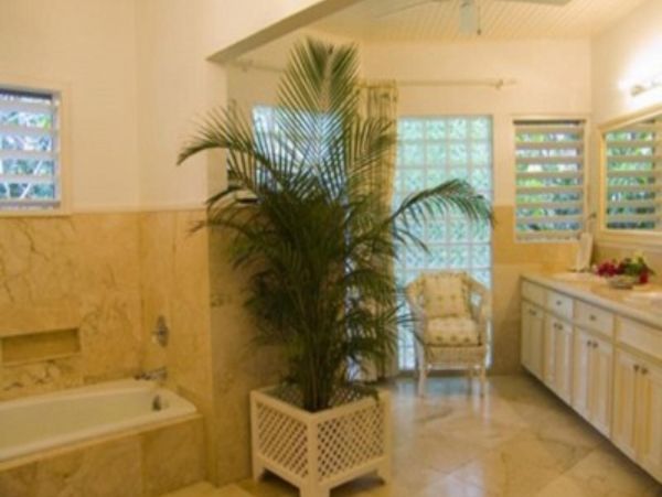 Jamaica Home 948061