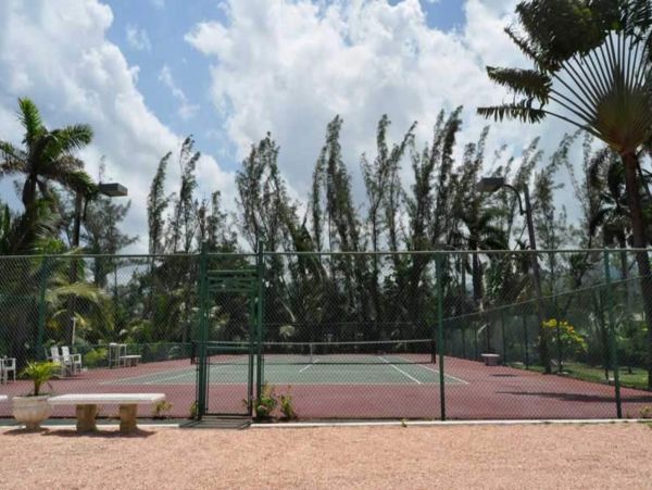 Jamaica Home 948063