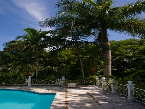 Jamaica Home 948073
