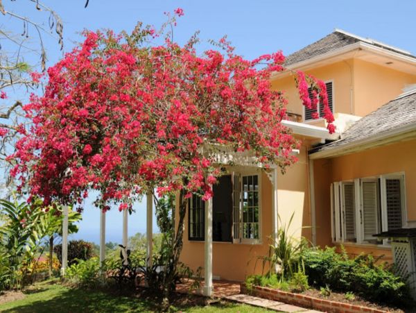Jamaica Home 948089