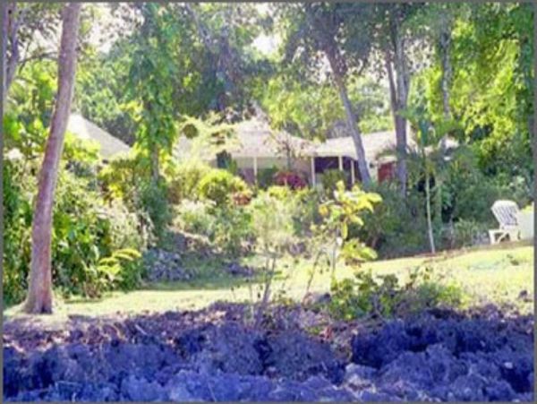 Jamaica Home 948094