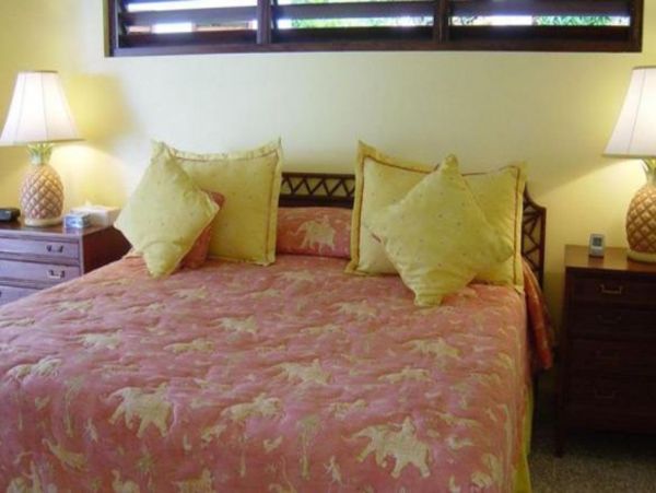 Jamaica Home 948095
