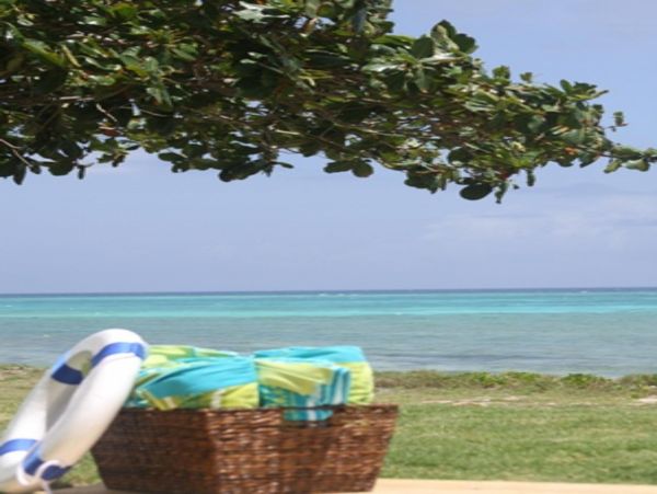 Jamaica Home 948107