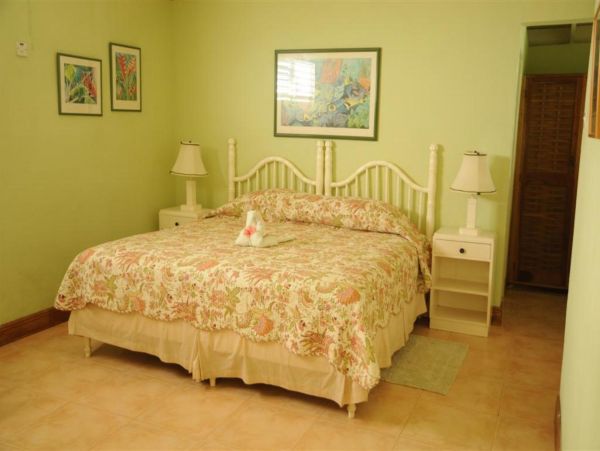 Jamaica Home 948113