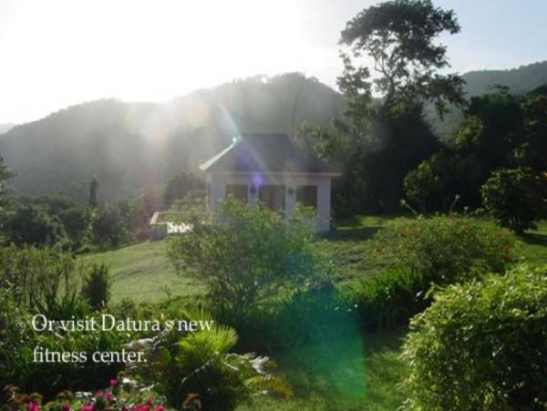Jamaica Home 948124