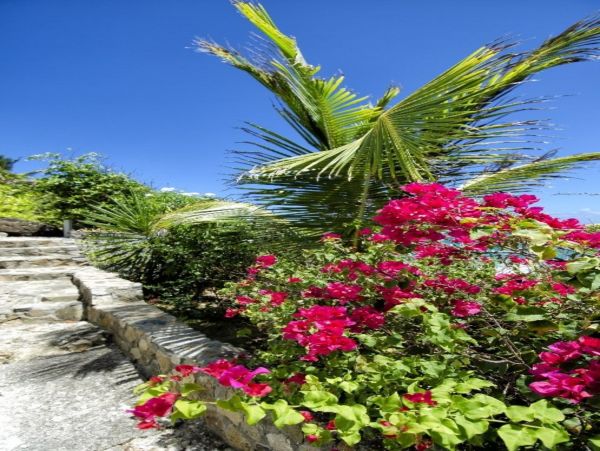 Saint Maarten Saint Martin Home 948171