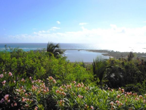 Saint Maarten Saint Martin Home 948173
