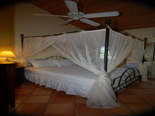 Saint Maarten Saint Martin Home 948213