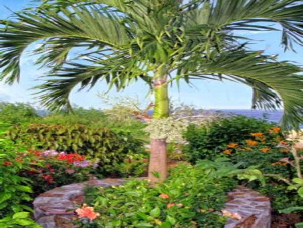 Saint Maarten Saint Martin Home 948217