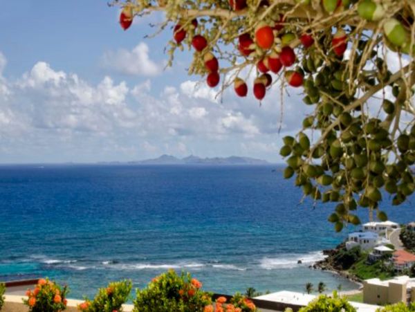 Saint Maarten Saint Martin Home 948217