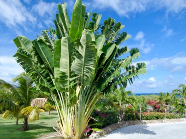 Saint Maarten Saint Martin Home 948222
