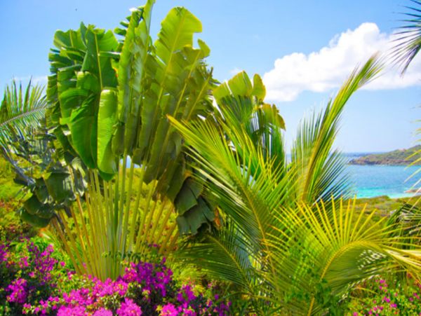 Saint Maarten Saint Martin Home 948269