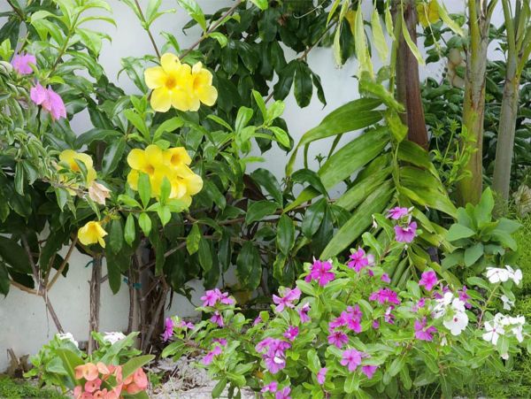 Saint Maarten Saint Martin Home 948274