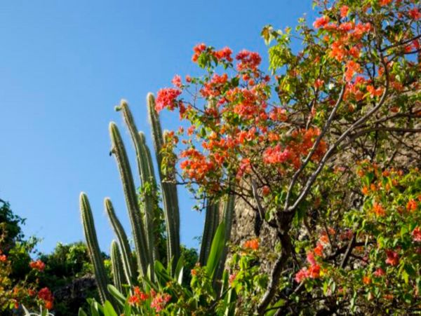 Saint Maarten Saint Martin Home 948276
